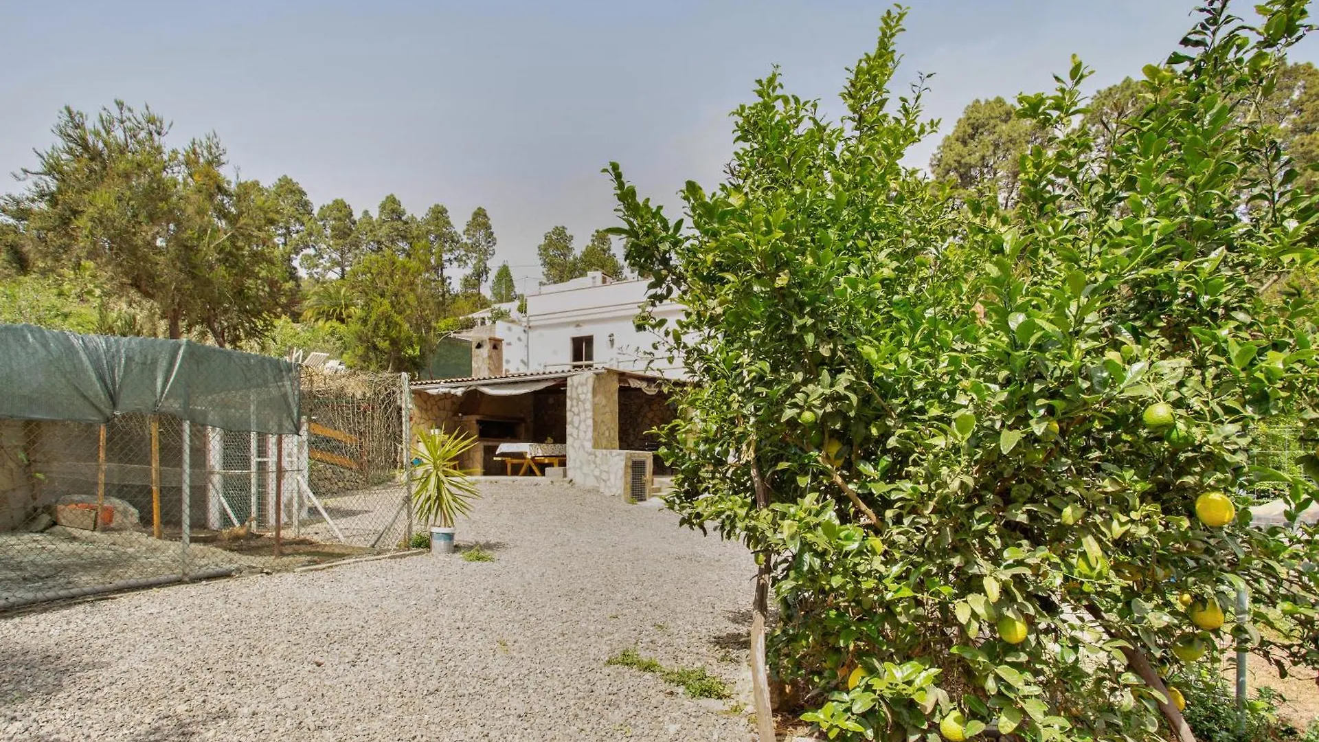 Finca Aurora Ecorural Icod De Los Vinos Spanien